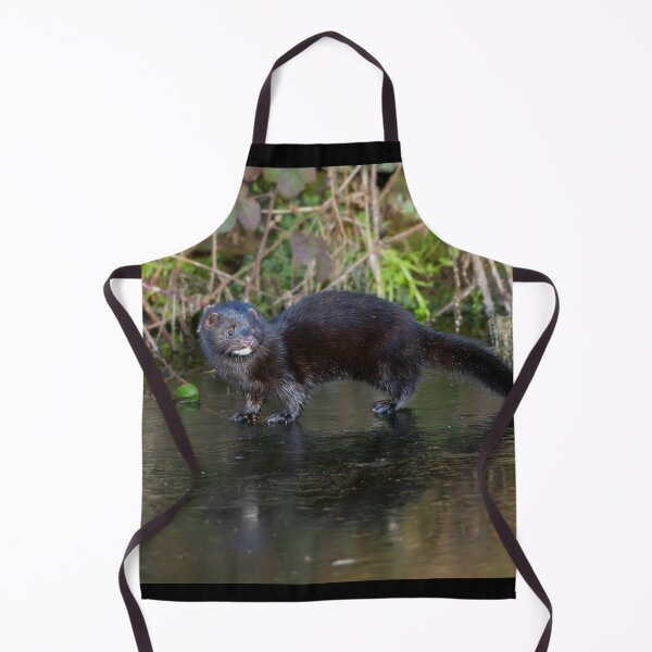 Item preview, American mink (Neovison vison) designed and sold by Stephen Jarman.