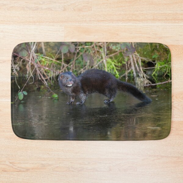 Item preview, American mink (Neovison vison) designed and sold by Stephen Jarman.