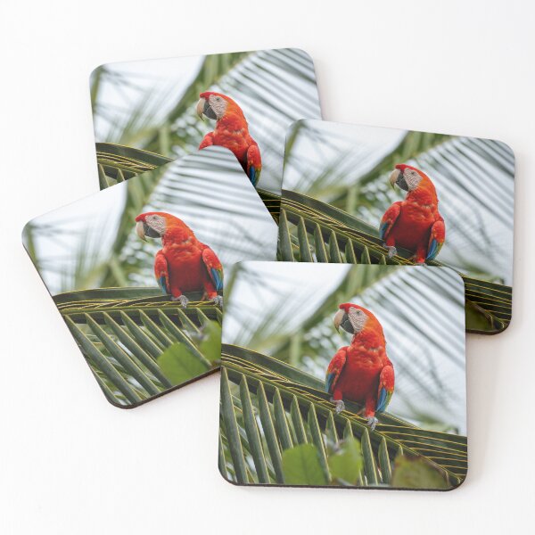 Item preview, Scarlet Throne – Scarlet Macaw Perched on Palm Frond, Costa Rica Wildlife Photography designed and sold by WildFrameNature.