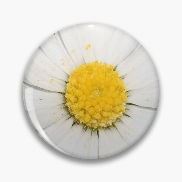 Item preview, Closeup Of A Beautiful Yellow And Wild White Daisy Flower designed and sold by taiche.