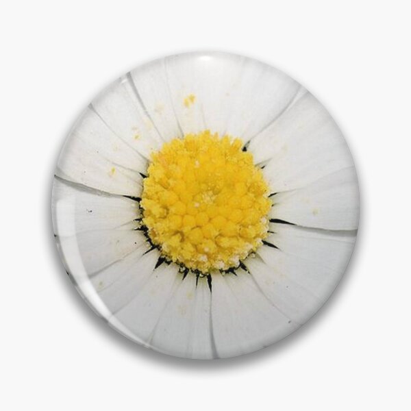 Item preview, Top View of a White Common Daisy Isolated on Black designed and sold by taiche.