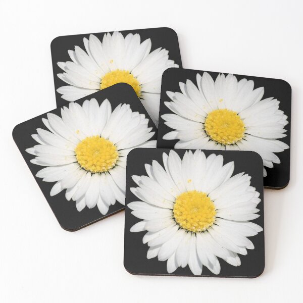 Item preview, Top View of a White Common Daisy Isolated on Black designed and sold by taiche.