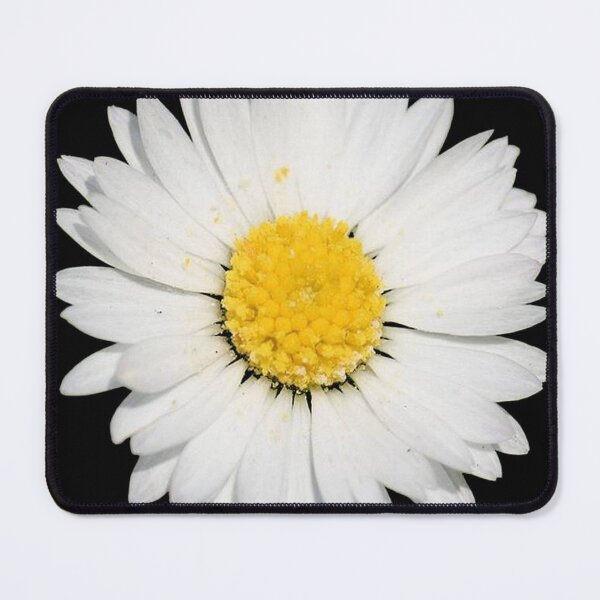 Item preview, Top View of a White Common Daisy Isolated on Black designed and sold by taiche.