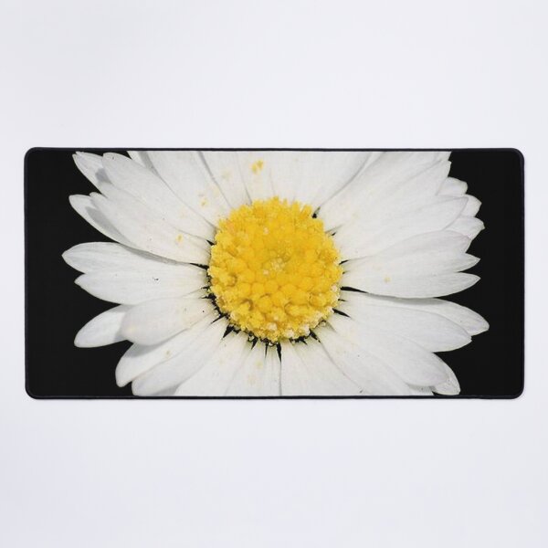Item preview, Top View of a White Common Daisy Isolated on Black designed and sold by taiche.