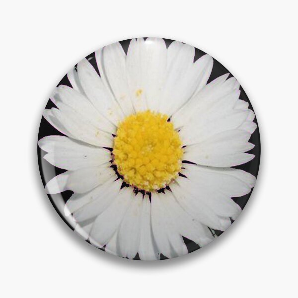 Item preview, Top View Of A White Common Daisy Isolated designed and sold by taiche.