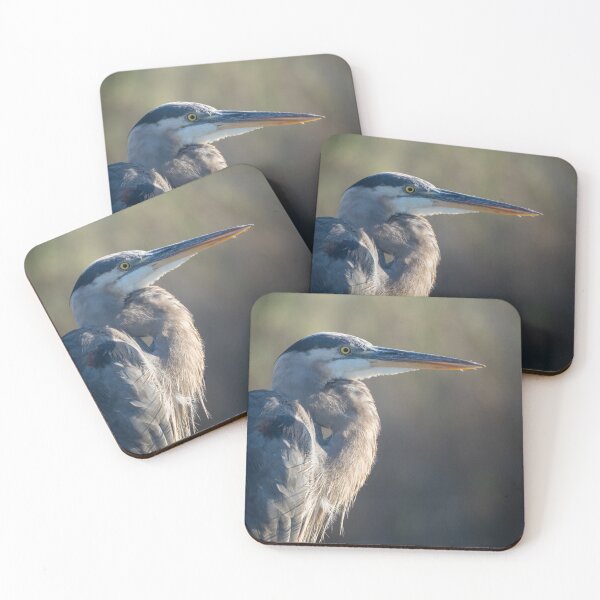 Item preview, Still Waters – Great Blue Heron Portrait in Golden Light, Wildlife Bird Photography designed and sold by WildFrameNature.