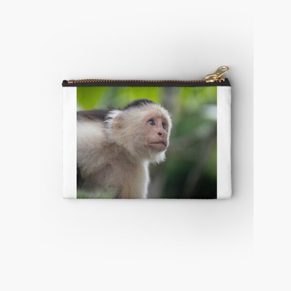 Item preview, Daydreamer – White-Faced Capuchin Gazing Upward, Costa Rica Wildlife Photography designed and sold by WildFrameNature.