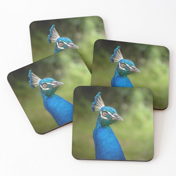 Item preview, Blue Royalty – Indian Peafowl Portrait with Crown, Wildlife Bird Photography designed and sold by WildFrameNature.