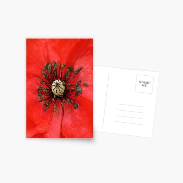 Item preview, Red Poppy designed and sold by DIANE  FIFIELD.