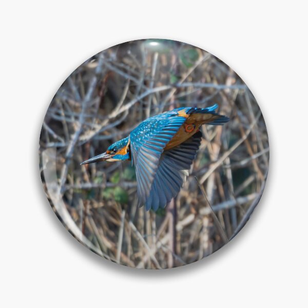 Item preview, Kingfisher diving towards pond designed and sold by Stephen Jarman.