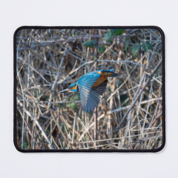 Item preview, Kingfisher diving towards pond designed and sold by Stephen Jarman.