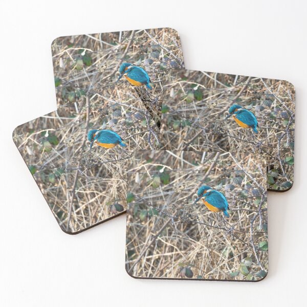 Item preview, Kingfisher sitting waiting designed and sold by Stephen Jarman.