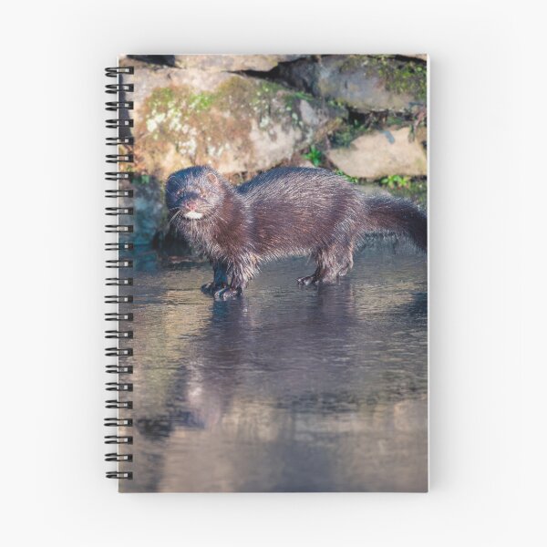 Item preview, American mink (Neovison vison) designed and sold by Stephen Jarman.