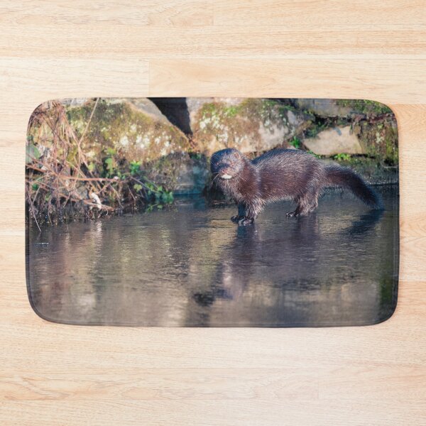 Item preview, American mink (Neovison vison) designed and sold by Stephen Jarman.