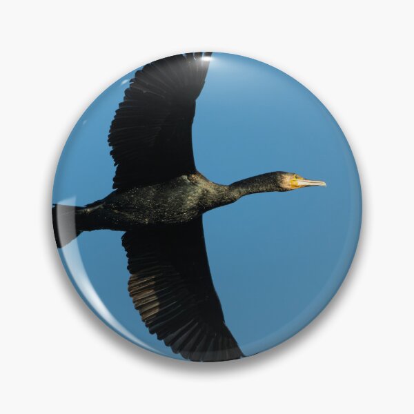 Item preview, Great Cormorant (Phalacrocorax carbo) flying high designed and sold by Stephen Jarman.