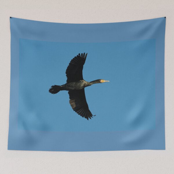 Item preview, Great Cormorant (Phalacrocorax carbo) flying high designed and sold by Stephen Jarman.