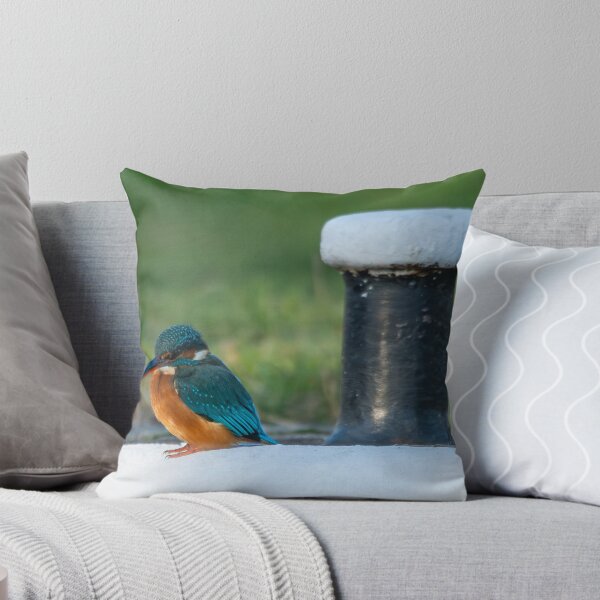Item preview, Kingfisher (Alcedo atthis) sitting aside a mooring post  designed and sold by Stephen Jarman.