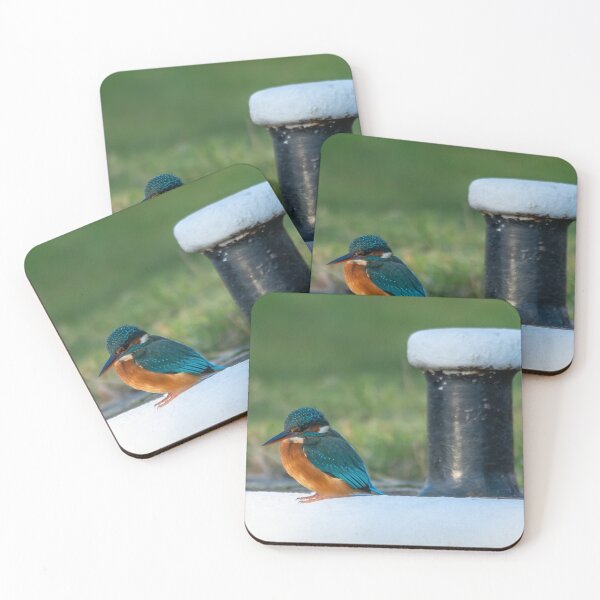 Item preview, Kingfisher (Alcedo atthis) sitting aside a mooring post  designed and sold by Stephen Jarman.