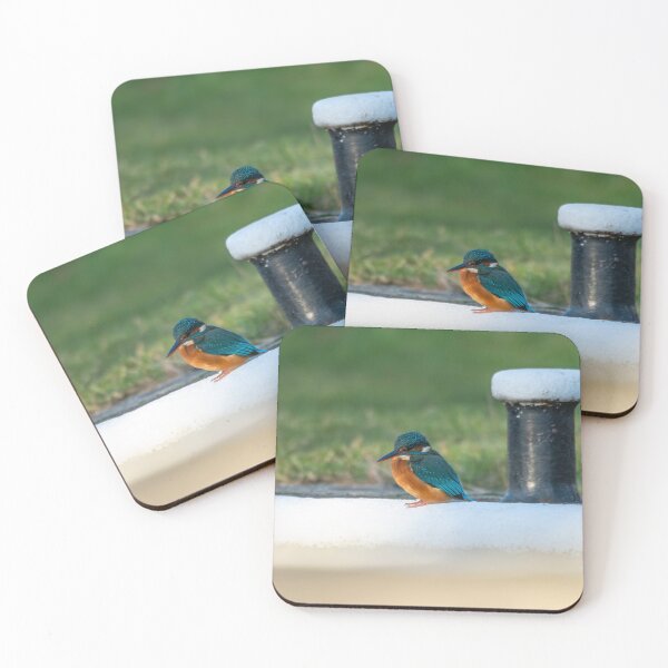 Item preview, Kingfisher (Alcedo atthis) sitting aside a mooring post  designed and sold by Stephen Jarman.