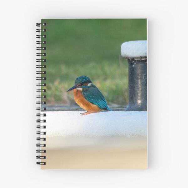 Item preview, Kingfisher (Alcedo atthis) sitting aside a mooring post  designed and sold by Stephen Jarman.