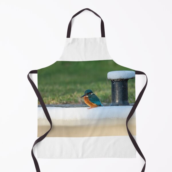 Item preview, Kingfisher (Alcedo atthis) sitting aside a mooring post  designed and sold by Stephen Jarman.