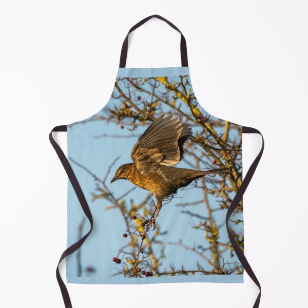 Item preview, Juvenile female blackbird landing (Turdus merula) designed and sold by Stephen Jarman.
