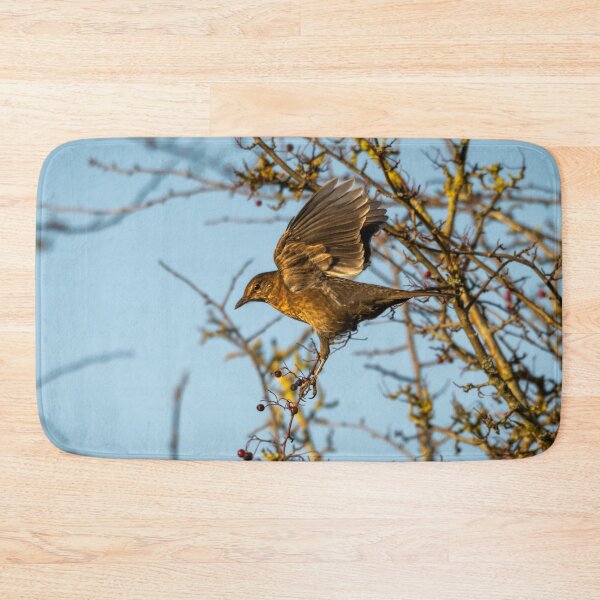 Item preview, Juvenile female blackbird landing (Turdus merula) designed and sold by Stephen Jarman.