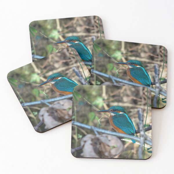 Item preview, Kingfisher (Alcedo atthis) sitting on a branch  designed and sold by Stephen Jarman.