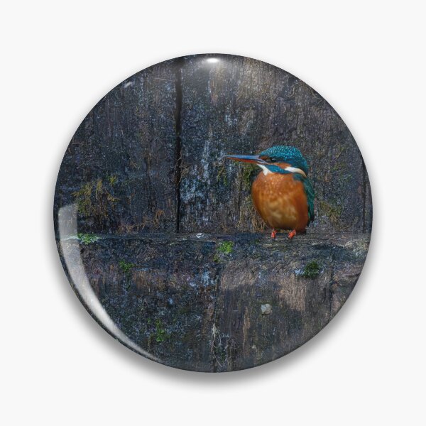 Item preview, Kingfisher (Alcedo atthis) sitting on a canal lock gate designed and sold by Stephen Jarman.