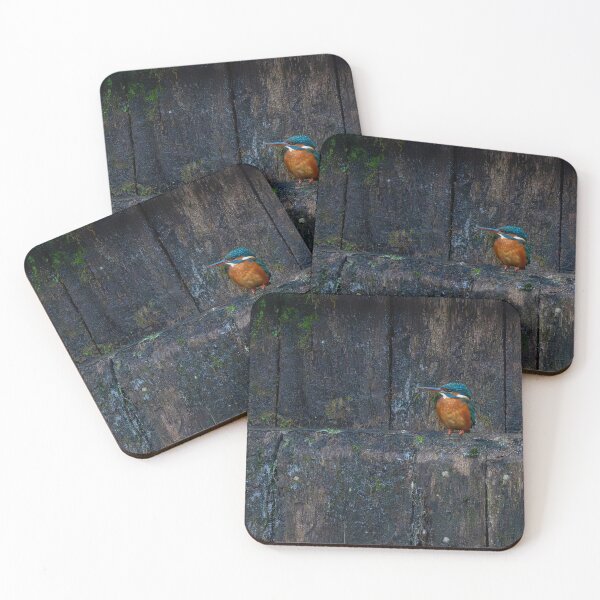 Item preview, Kingfisher (Alcedo atthis) sitting on a canal lock gate designed and sold by Stephen Jarman.