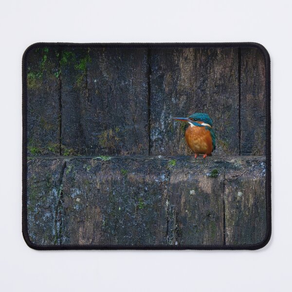 Item preview, Kingfisher (Alcedo atthis) sitting on a canal lock gate designed and sold by Stephen Jarman.
