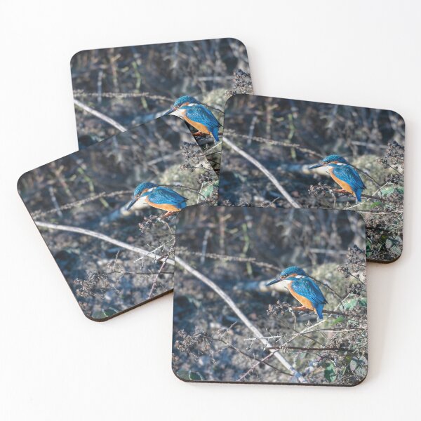 Item preview, Kingfisher (Alcedo atthis) sitting on a branch designed and sold by Stephen Jarman.