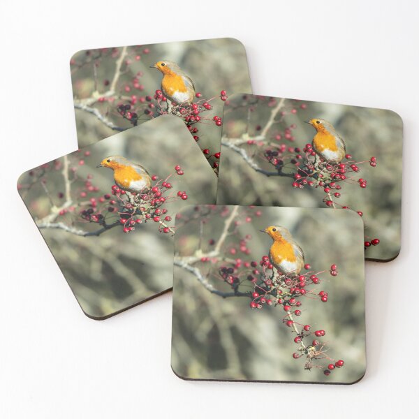 Item preview, European robin (Erithacus rubecula) perched on branch with berries designed and sold by Stephen Jarman.