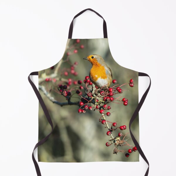 Item preview, European robin (Erithacus rubecula) perched on branch with berries designed and sold by Stephen Jarman.