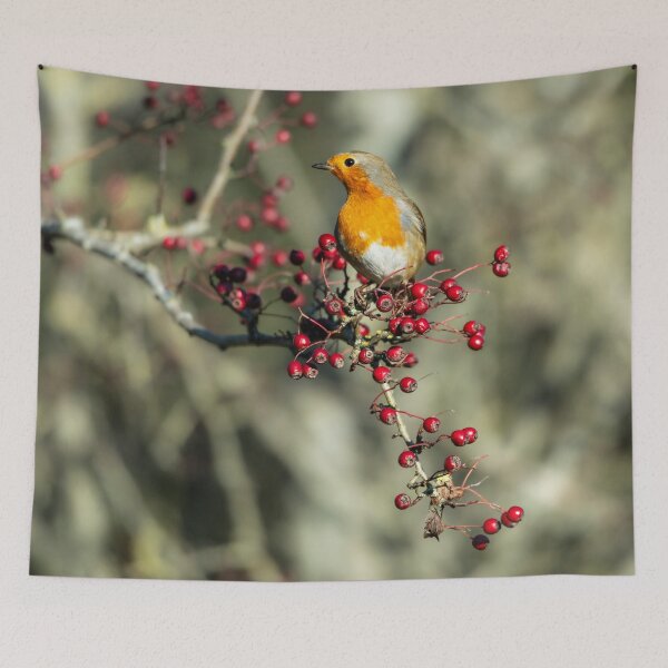 Item preview, European robin (Erithacus rubecula) perched on branch with berries designed and sold by Stephen Jarman.