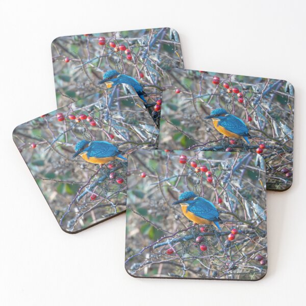 Item preview, Kingfisher (Alcedo atthis) sitting on a branch with berries designed and sold by Stephen Jarman.