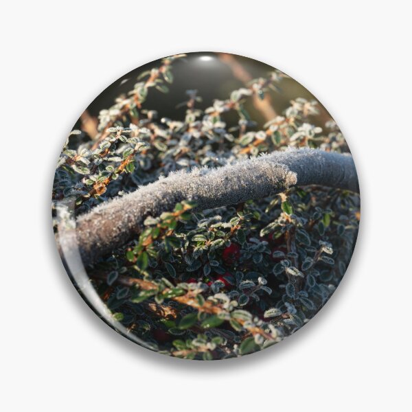 Item preview, Frost covered cotoneaster shrub with berries designed and sold by Stephen Jarman.