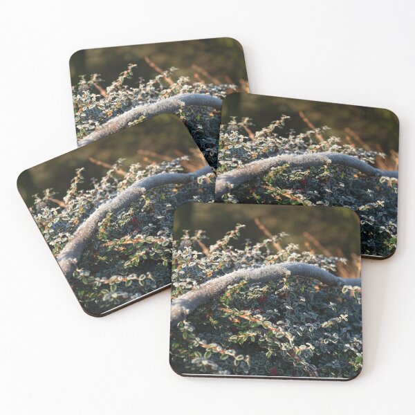 Item preview, Frost covered cotoneaster shrub with berries designed and sold by Stephen Jarman.
