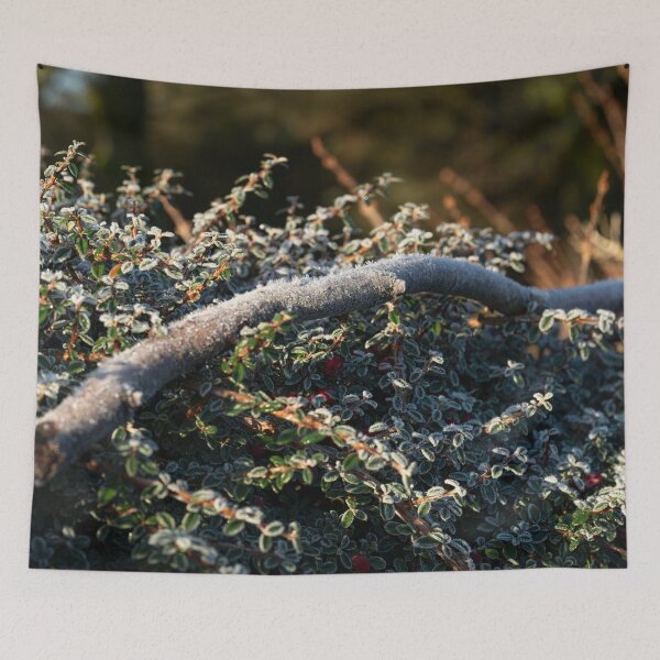 Item preview, Frost covered cotoneaster shrub with berries designed and sold by Stephen Jarman.