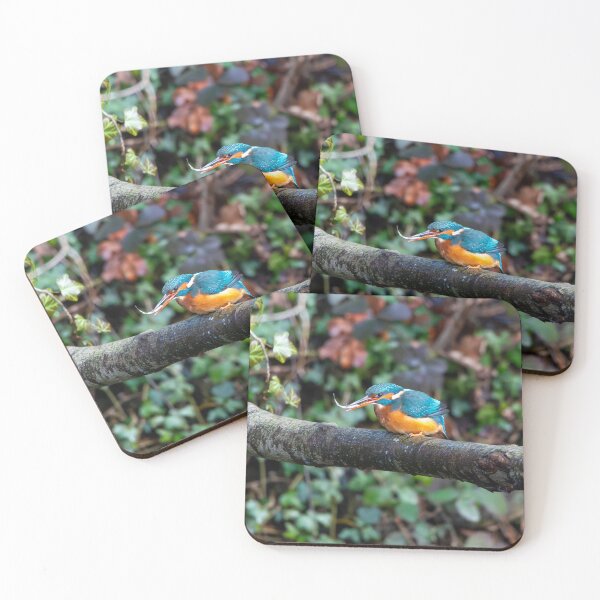 Item preview, Kingfisher (Alcedo atthis) with fish in beak designed and sold by Stephen Jarman.