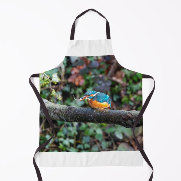Item preview, Kingfisher (Alcedo atthis) with fish in beak designed and sold by Stephen Jarman.