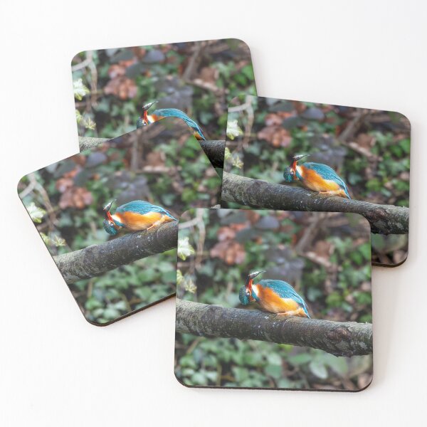 Item preview, Kingfisher (Alcedo atthis) perched on a branch after fishing designed and sold by Stephen Jarman.