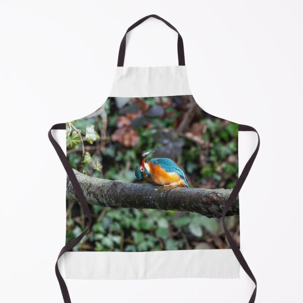 Item preview, Kingfisher (Alcedo atthis) perched on a branch after fishing designed and sold by Stephen Jarman.