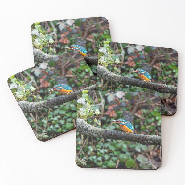 Item preview, Kingfisher (Alcedo atthis) with fish in beak designed and sold by Stephen Jarman.