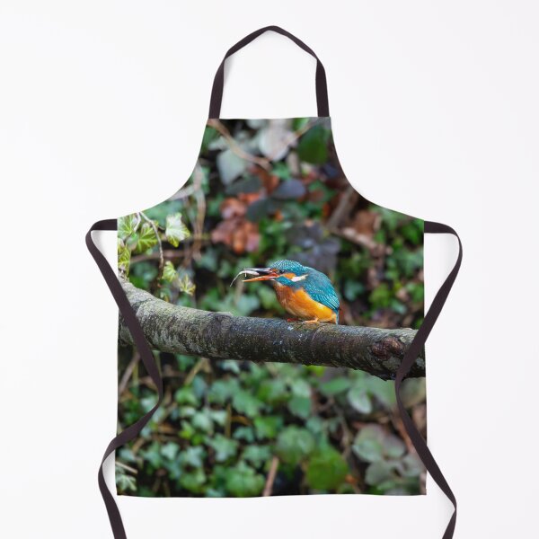 Item preview, Kingfisher (Alcedo atthis) with fish in beak designed and sold by Stephen Jarman.