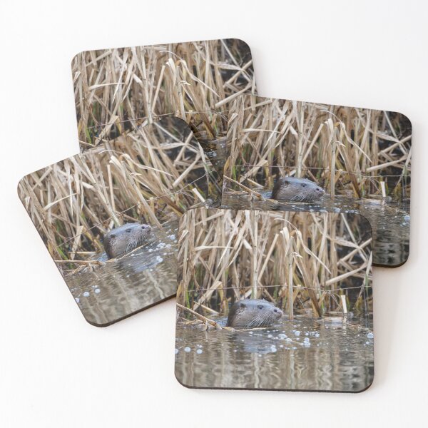 Item preview, River Otter in water near tall reeds designed and sold by Stephen Jarman.