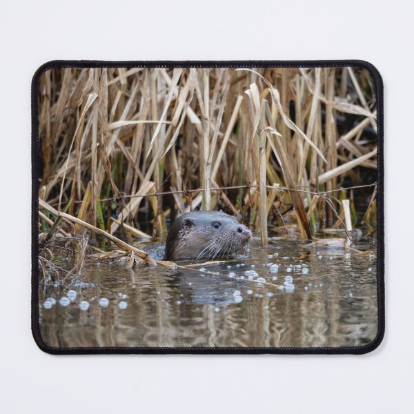 Item preview, River Otter in water near tall reeds designed and sold by Stephen Jarman.