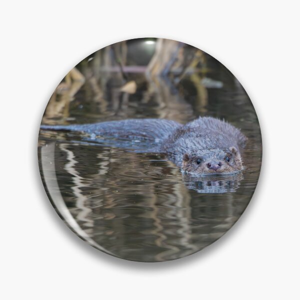 Item preview, River Otter swimming in water near tall reeds  designed and sold by Stephen Jarman.