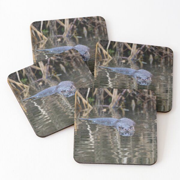 Item preview, River Otter swimming in water near tall reeds  designed and sold by Stephen Jarman.