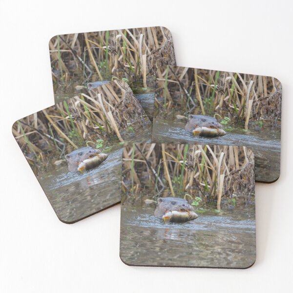 Item preview, River Otter swimming in water with fish designed and sold by Stephen Jarman.